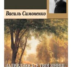 «Задивляюсь у твої зіниці» Василь Симоненко