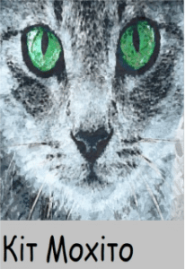 "Кіт Мохіто" Жарікова Ольга