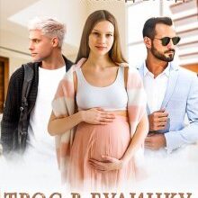 "Троє в будинку, не рахуючи дитини" Мар'яна Доля, Холод Влада