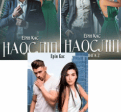 Серія книг «Наосліп»