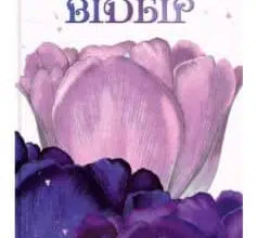 «Відбір» Кіра Касс