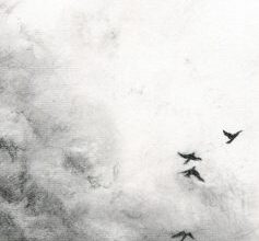 «Руїни бога» Кейт Аткінсон