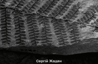 Аудіокнига «Інтернат» Сергій Жадан