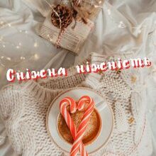"Сніжна ніжність" Діана Міценко