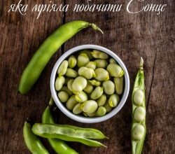 Аудіокниги «Про квасолинку, яка мріяла побачити Сонце» Зоряна Живка