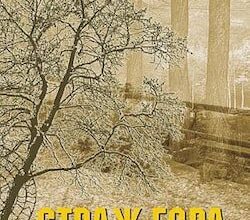 Аудіокниги «Страж гора» Степан Пушик