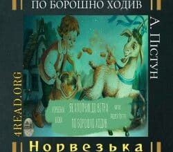 Аудіокниги «Як хлопчик до вітра по борошно ходив» Норвезька казка