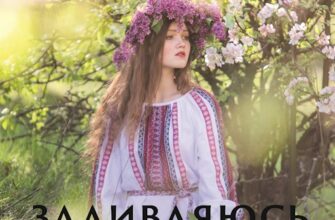 Василь Симоненко «Задивляюсь у твої зіниці...» аналіз, паспорт твору